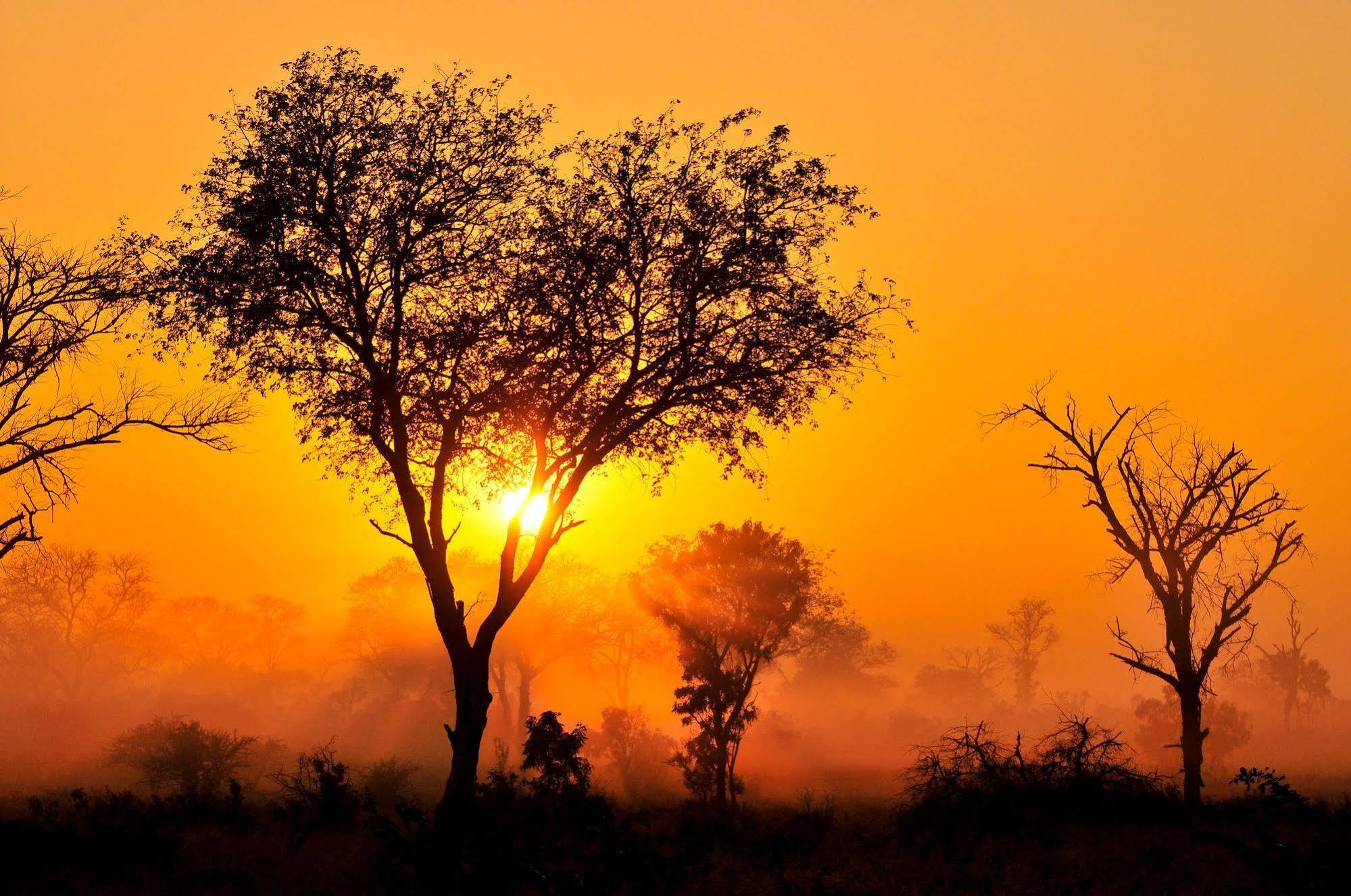 Inyati Game Lodge Metsi エクステリア 写真
