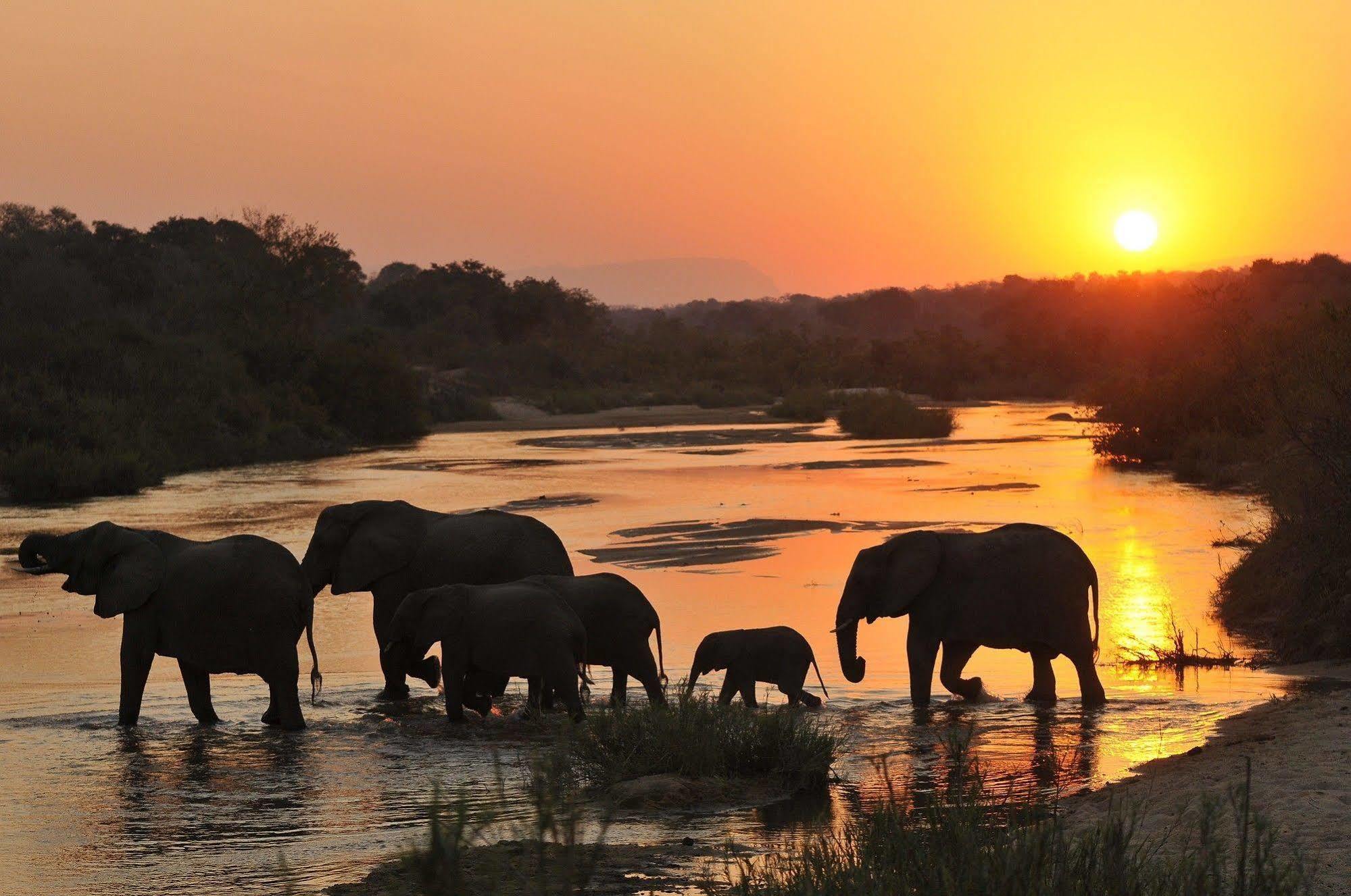 Inyati Game Lodge Metsi エクステリア 写真